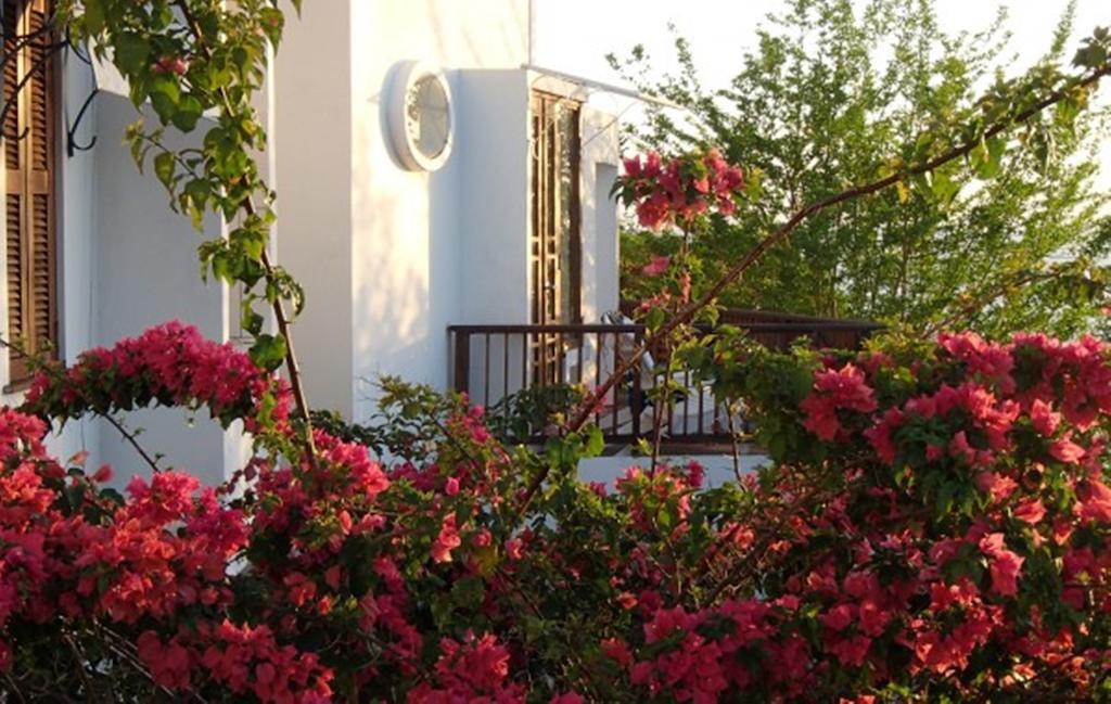 Being Villa Plymouth Exterior foto
